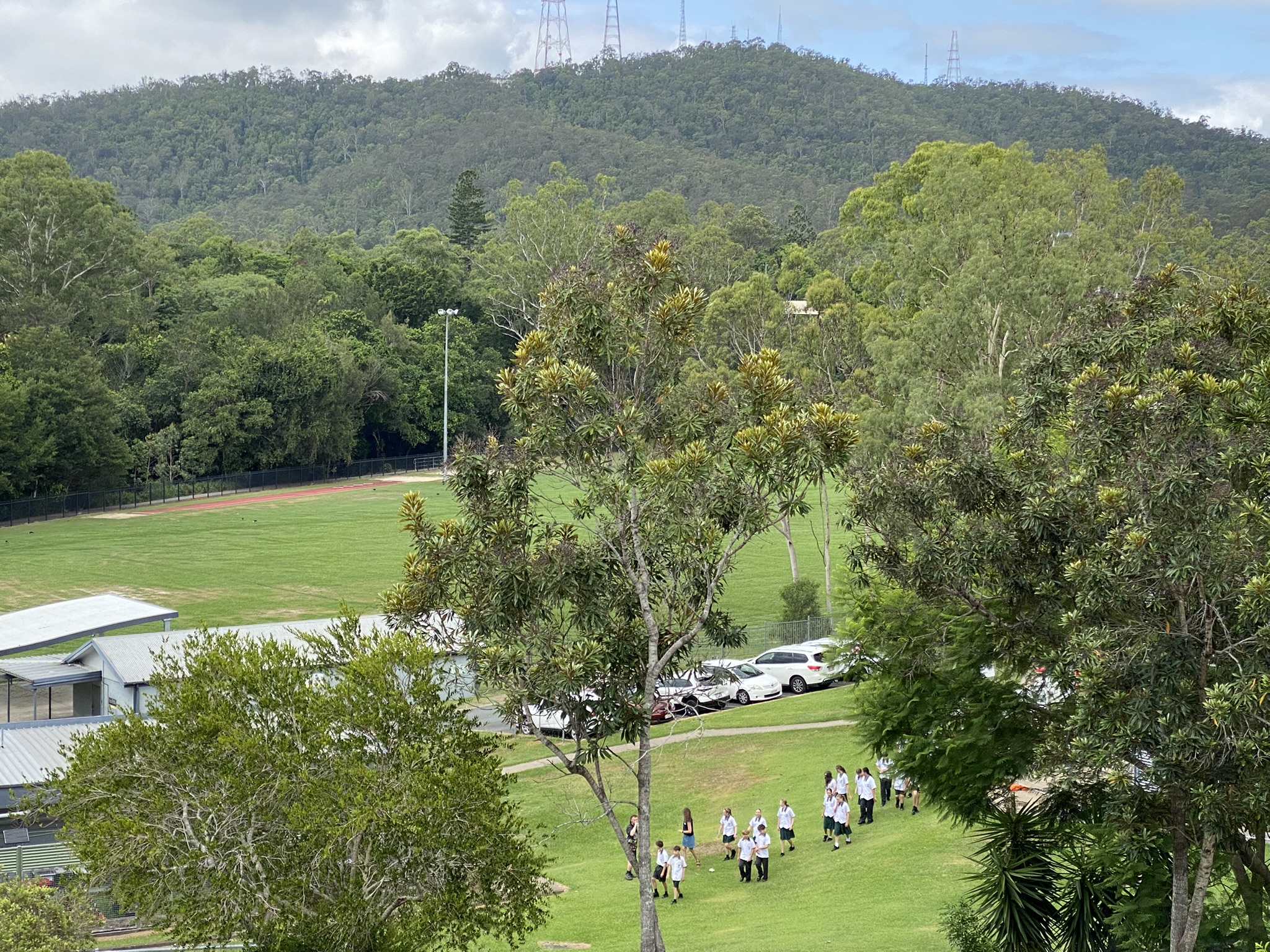 School Oval.JPEG